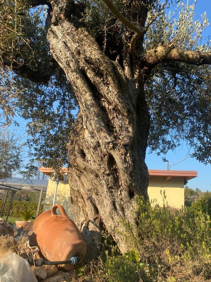 Holiday home Residenza Nosy Be